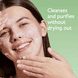 Pore Purifying Gel Cleanser