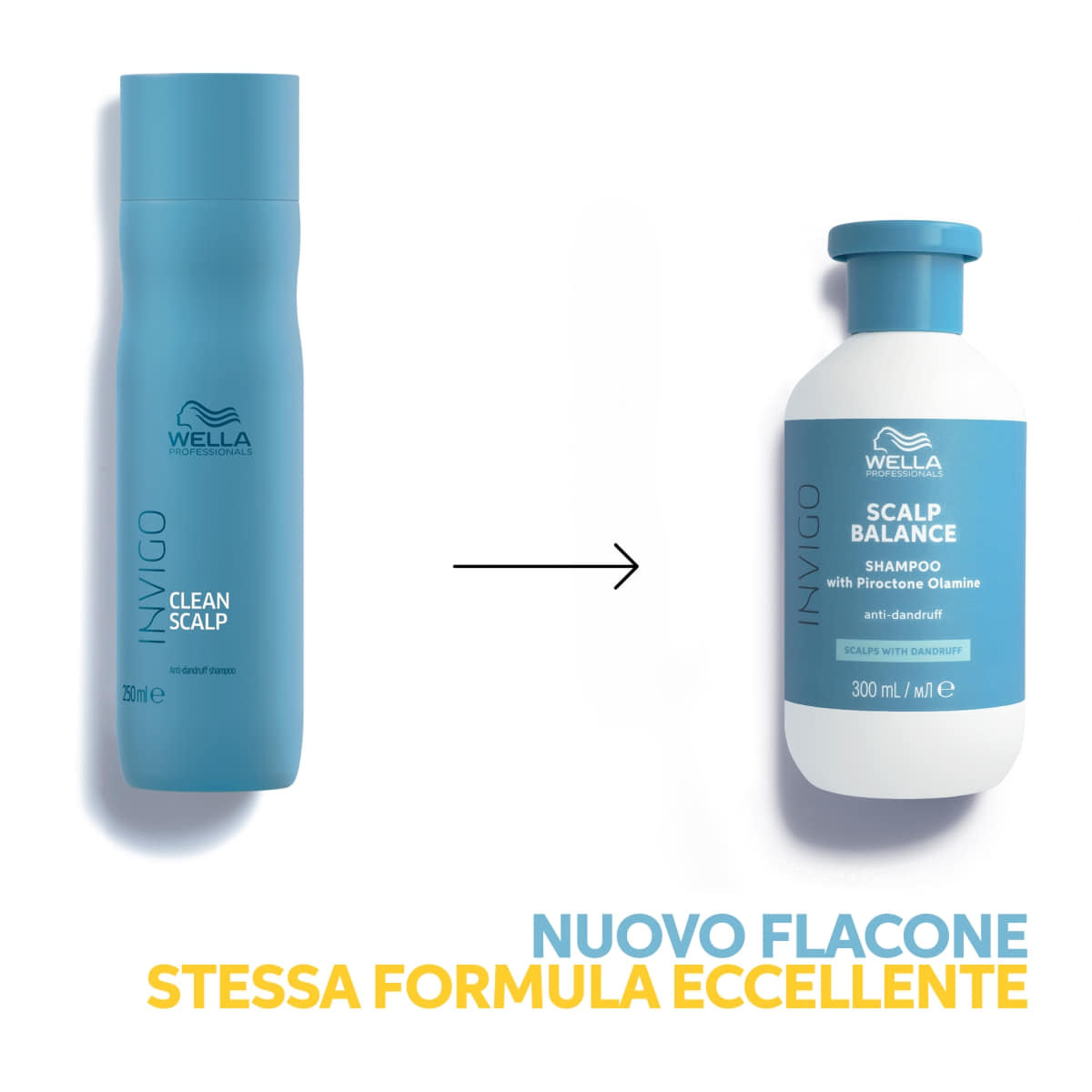 Clean Shampoo