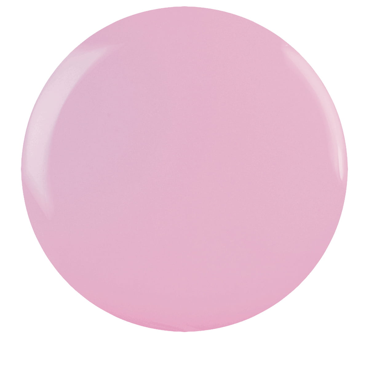 Cake Pop