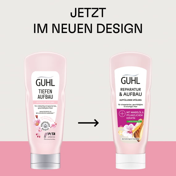 Reparatur & Aufbau Spülung