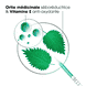 Shampooing Sec pour Cheveux Gras