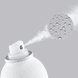 Spray de Coiffage