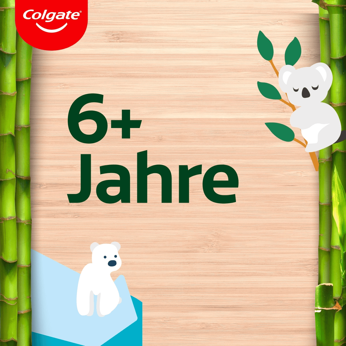 Spazzolino Bamboo per Bambini Orso/Koala 6+