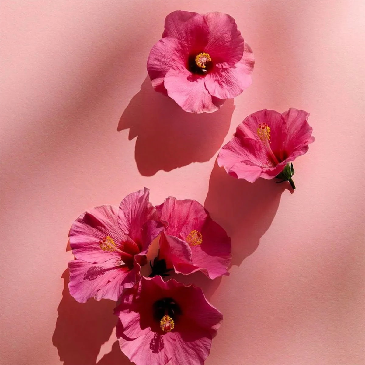 Deo Fresh Flower Spray 