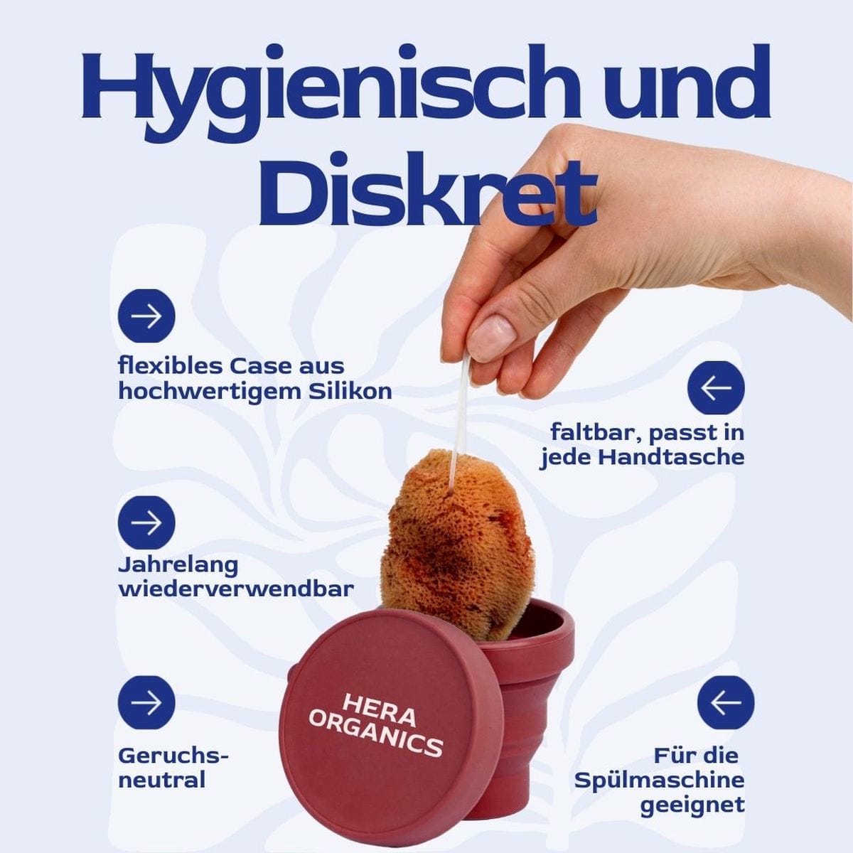 Hestia To-Go Case