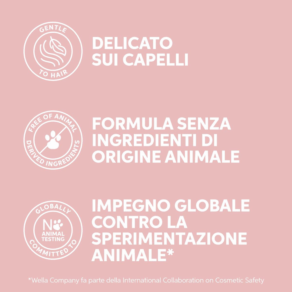 Shampoo
