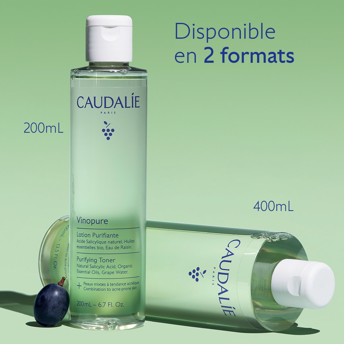 Lotion Purifiante