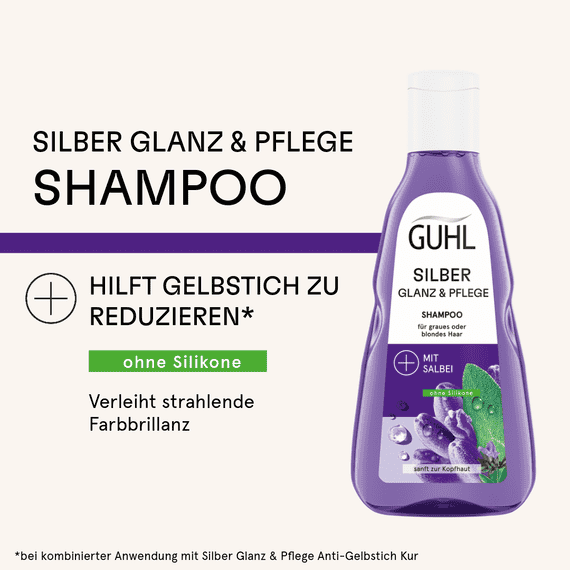 Silberglanz & Pflege Shampoo