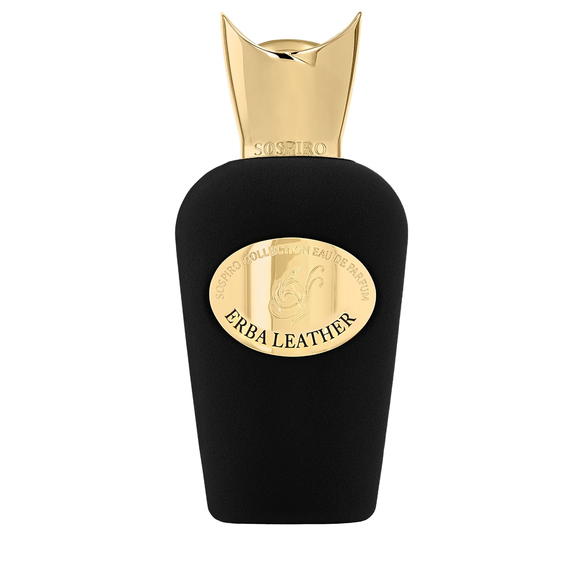 Erba Leather Eau de Parfum