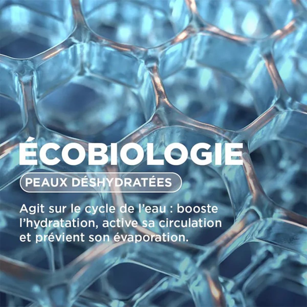 Crème d'eau Hydratante Riche