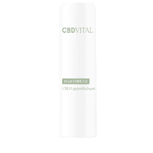 CBD Lippenbalsam