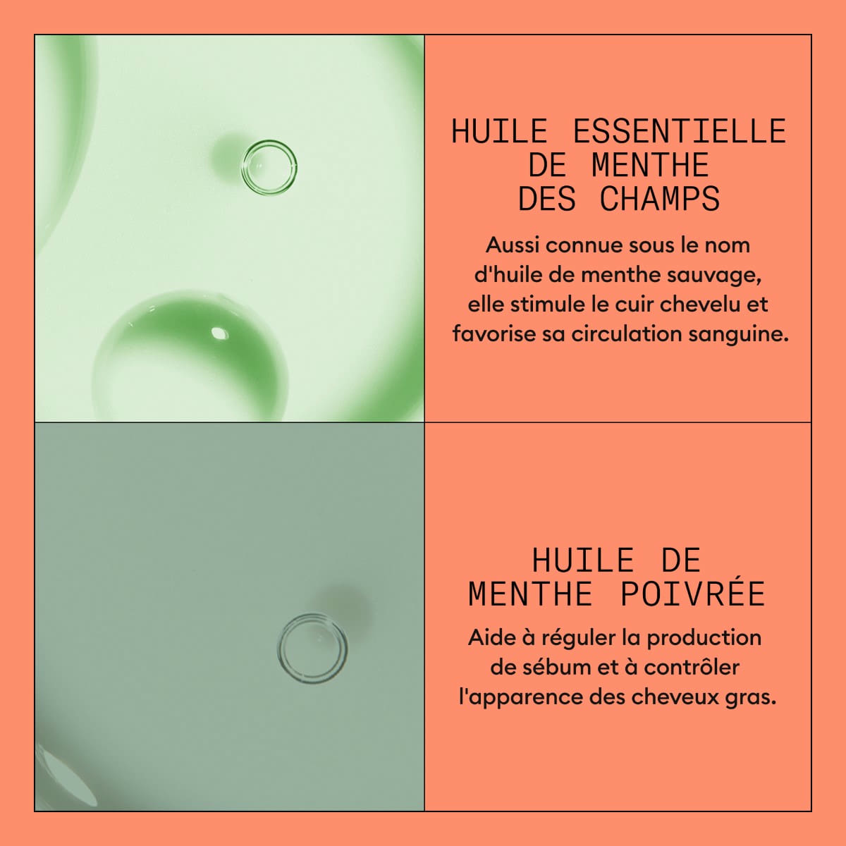 Scalp + Hair Conditioner