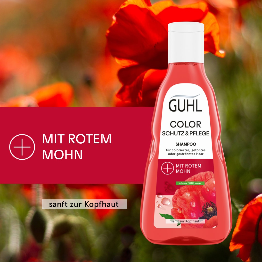 Color Schutz & Pflege Shampoo