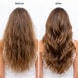 Anti-Hair Fall Microbiome Shampoo