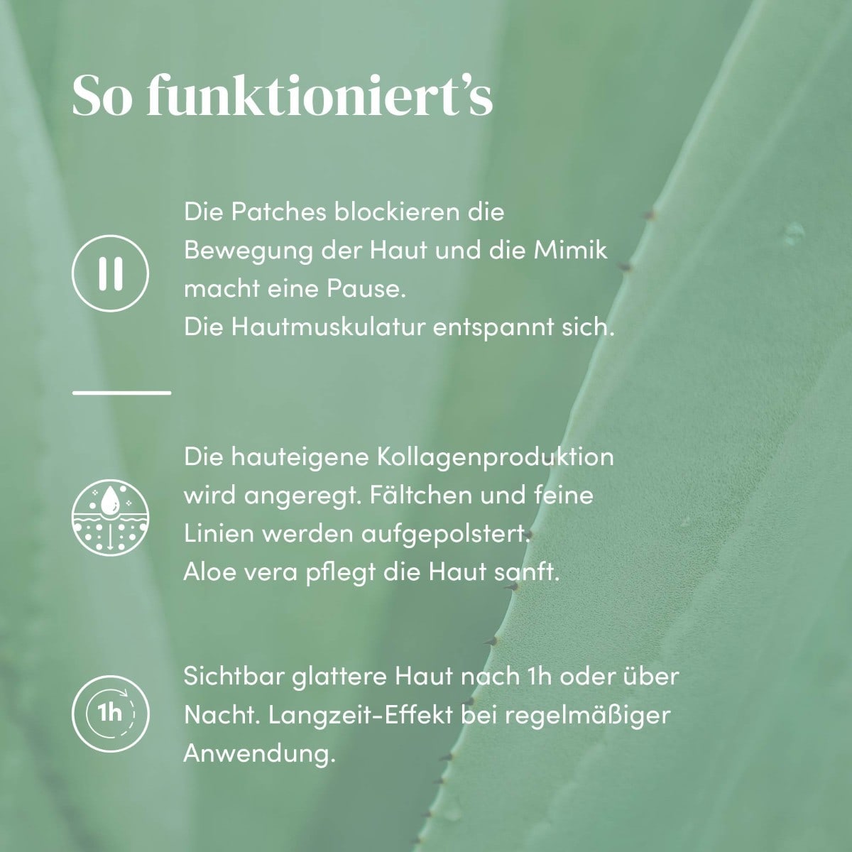 Gesicht Patches mit Aloe Vera