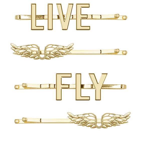 Set of 4 Hair Clips
