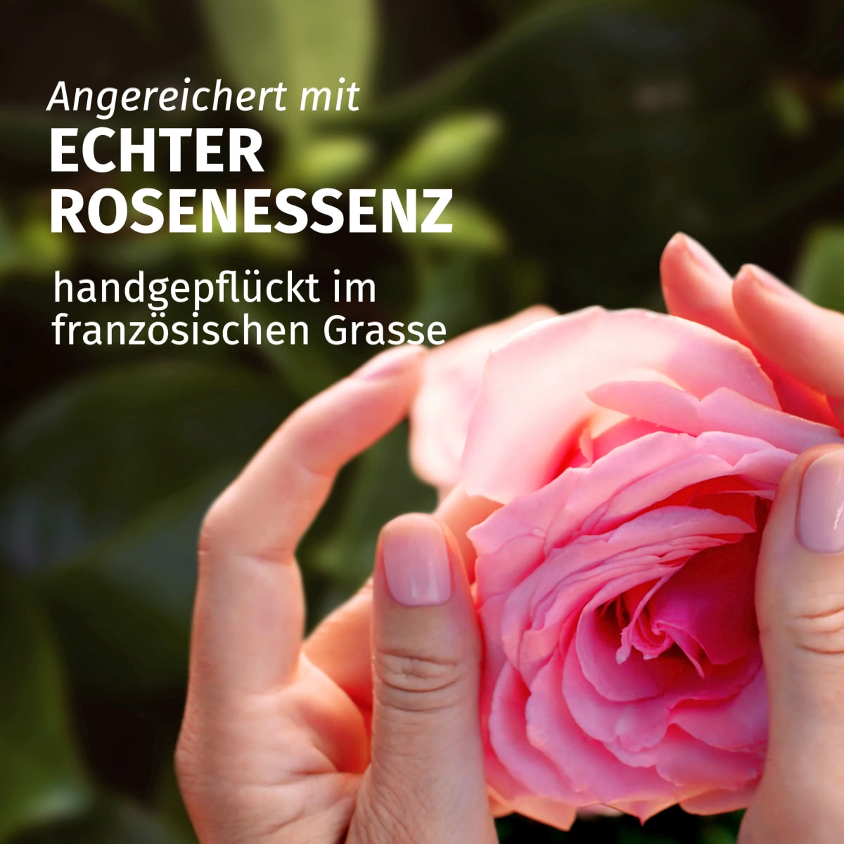Blütensanft Rose Shampoo