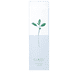 Massage Lotion
