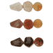 Beak Clip Set
