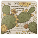 Organic Cactus Moisture Toner Pad