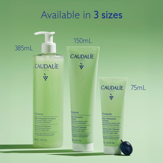 Pore Purifying Gel Cleanser