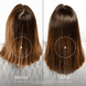 Shampoo for Hair Loss