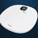 Master Form Wifi