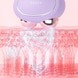 BEAR 2 Lavender
