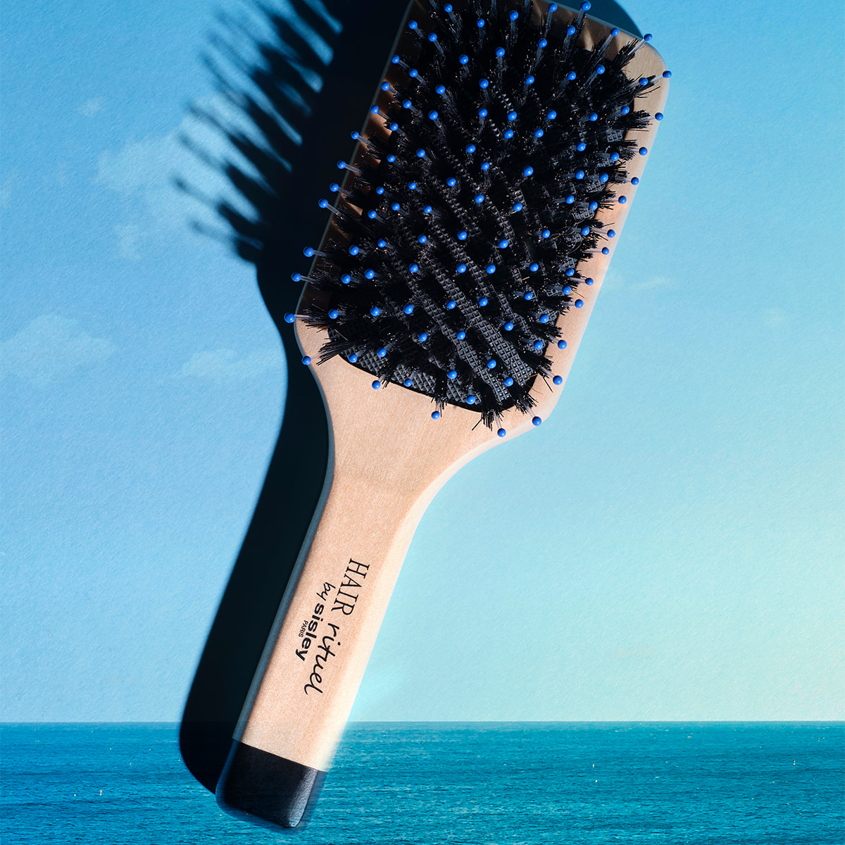 Petite Brosse Brillance & Douceur