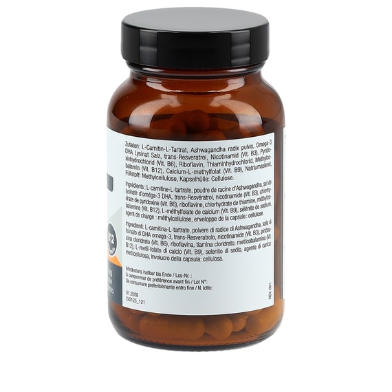Fertilität Mann - 90 Kapseln