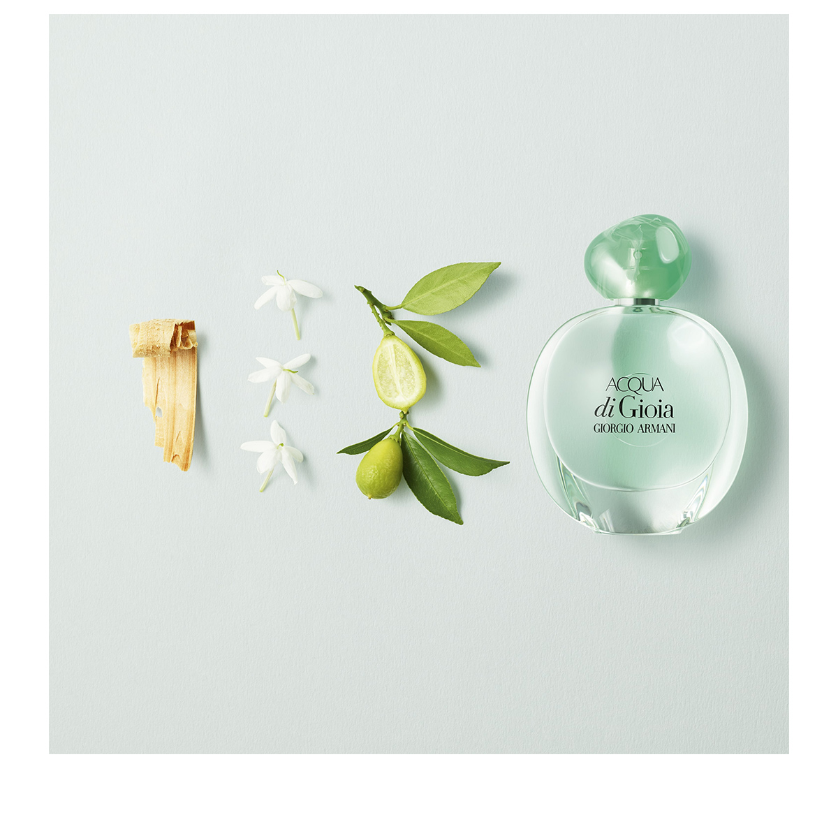 Acqua di Gioia Eau de Parfum
