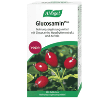 Glucosamine Plus - 120 Tablets