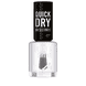 Last & Shine Nail Polish