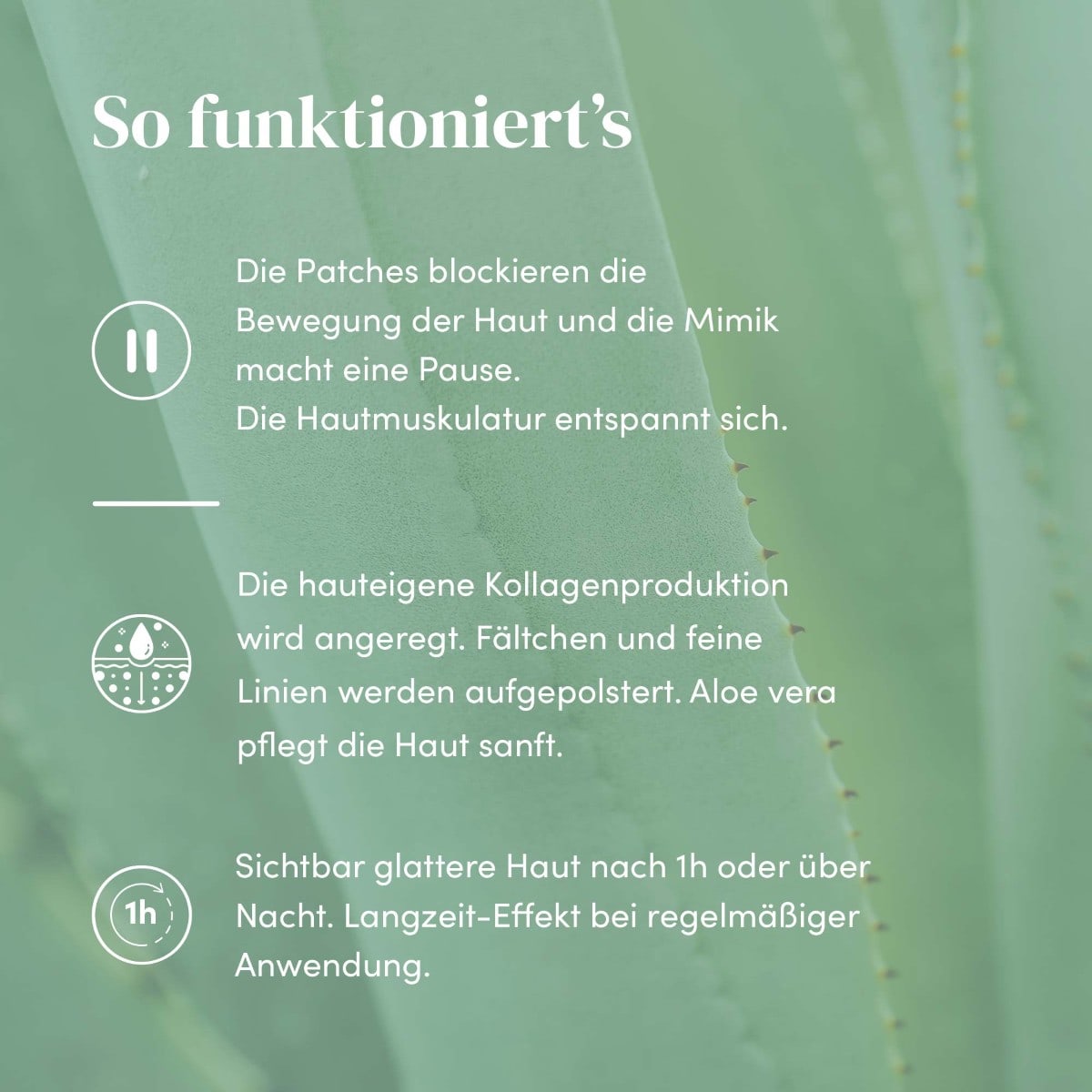  Mund Patches mit Aloe Vera