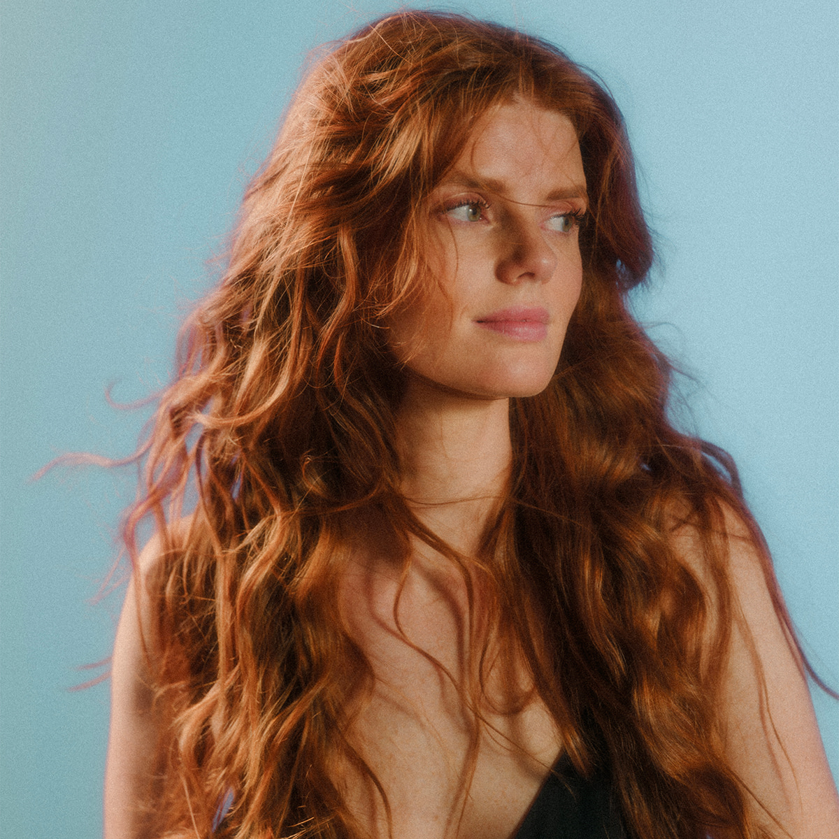 Huile Précieuse Cheveux Brillance et Nutrition