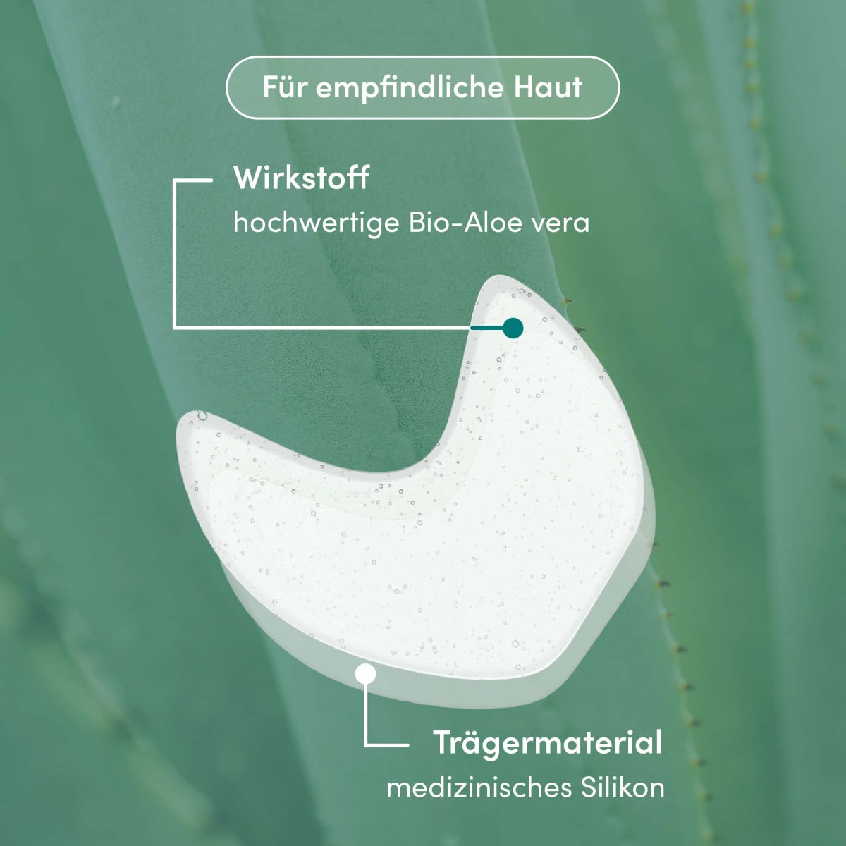 Wiederverwendbare Augen-Schläfen Pads mit Aloe Vera