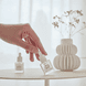 Cuticle Remover