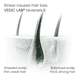 Overnight Scalp Elixir