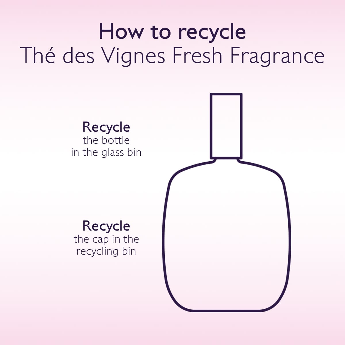 Fresh Fragrance