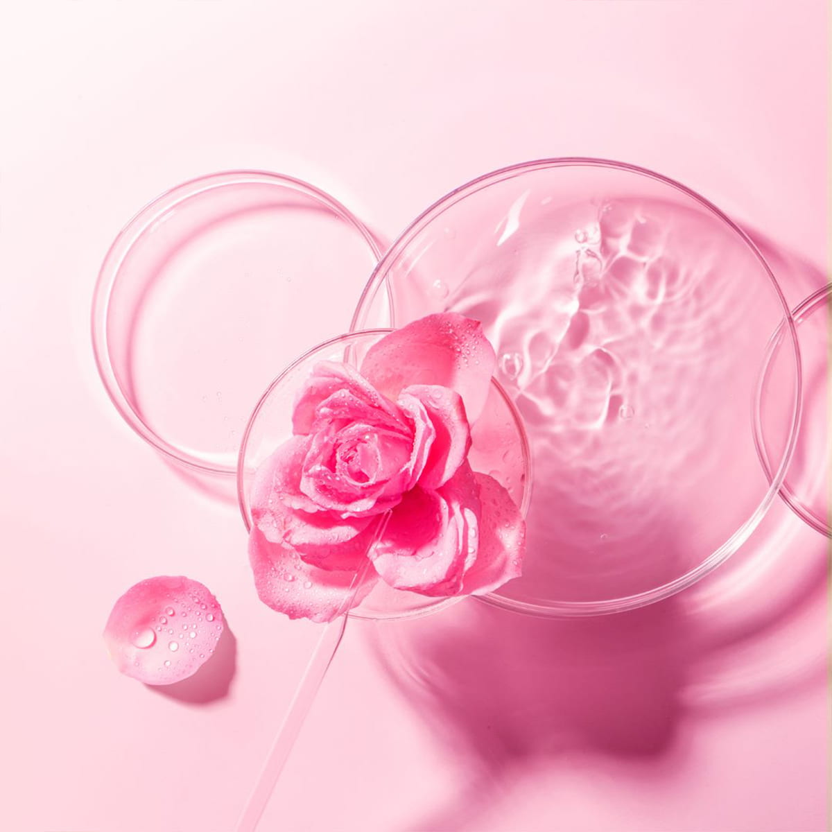 Farm To Face Sheet Mask - Bulgarian Rose ×3