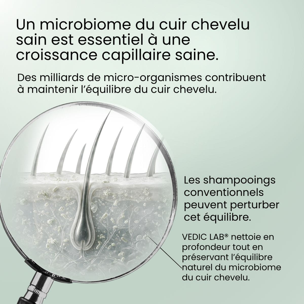 Anti-Hair Fall Microbiome Shampoo