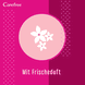 Cotton Flexiform Frischeduft 56 Stk