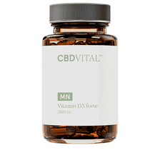 Vitamin D3 Forte - 60 Kapseln