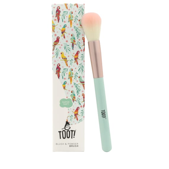 Blush & Powder Brush