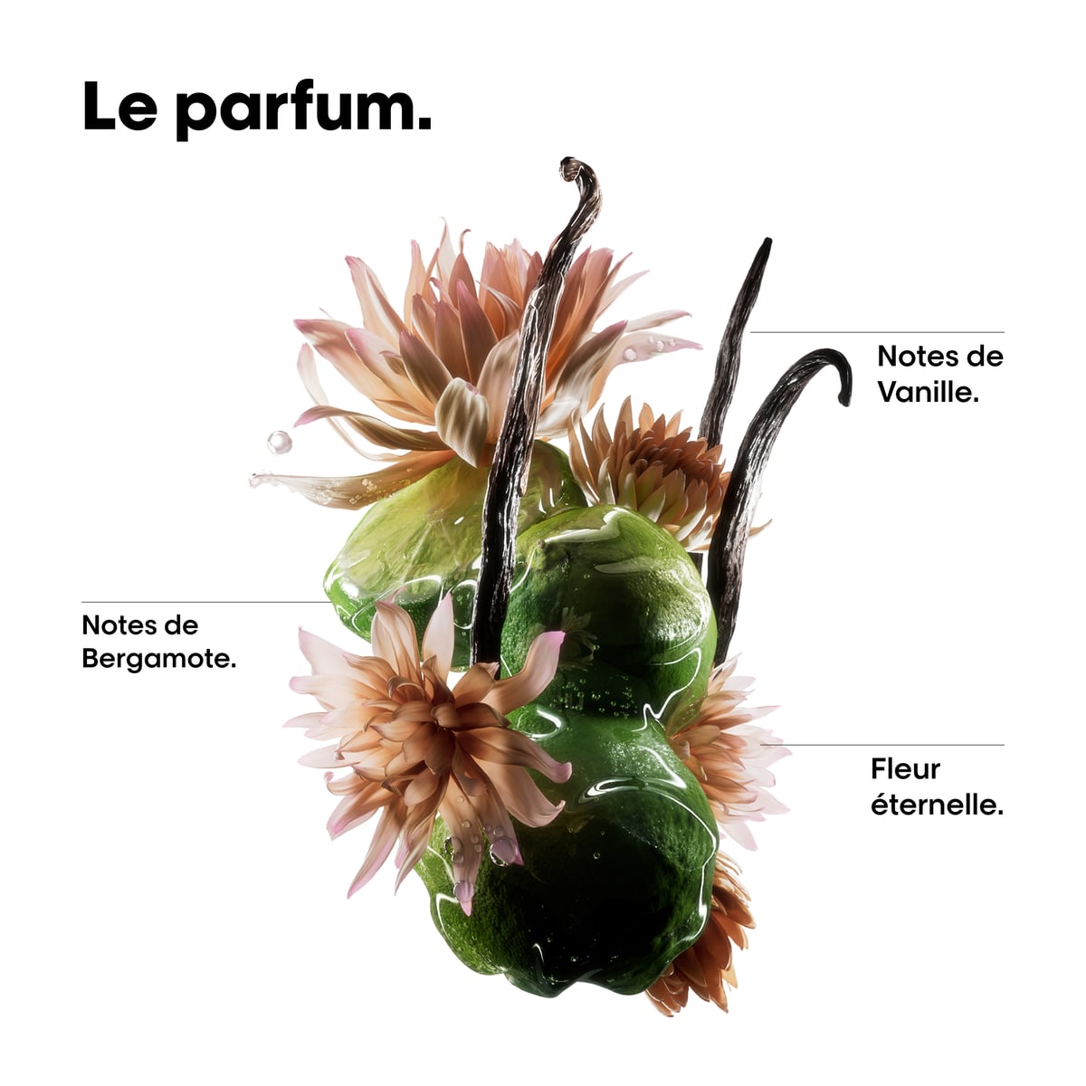 Absolut Repair Molecular Bi-Phase Oil