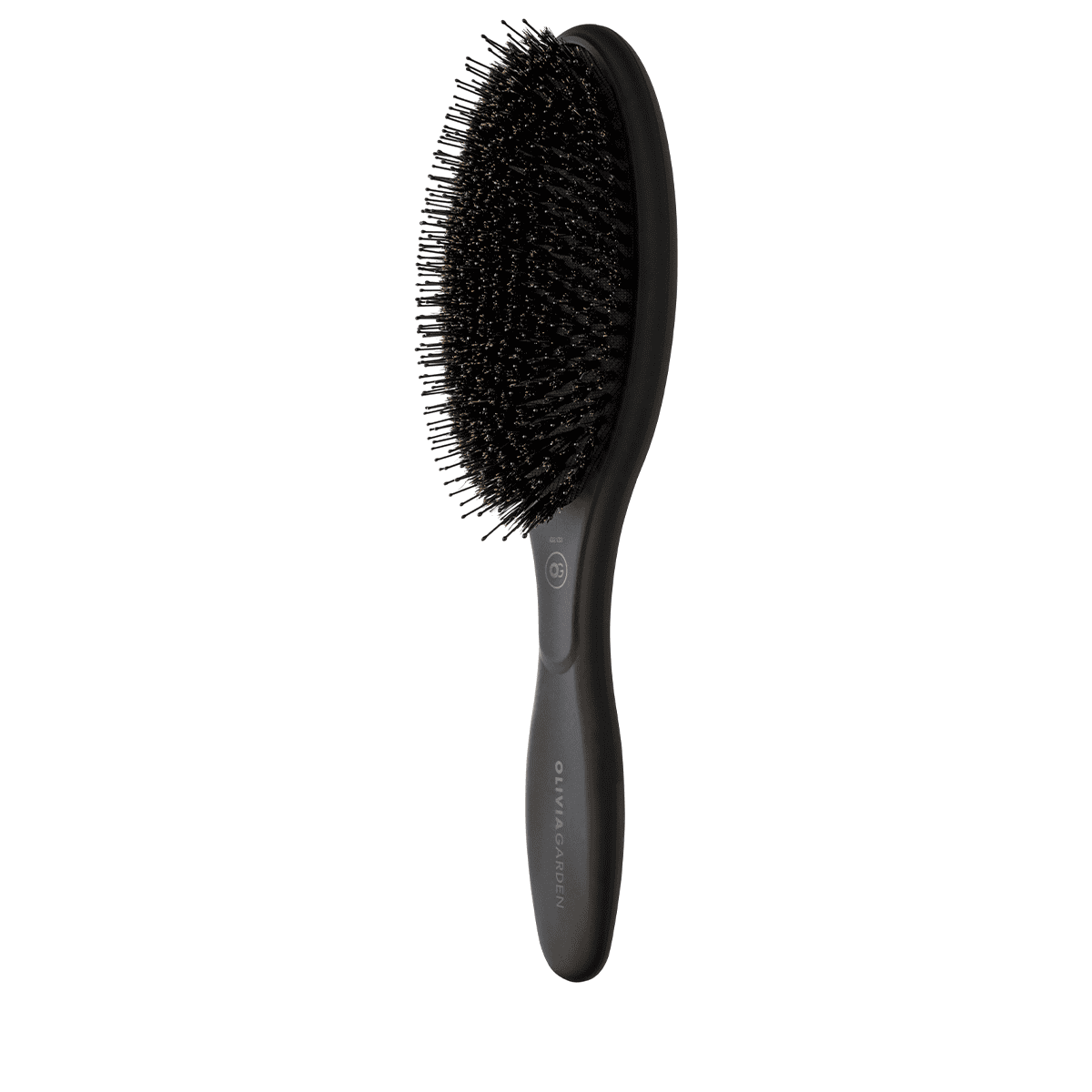 Expert Care Oval Boar & Nylon Bristles Black Label