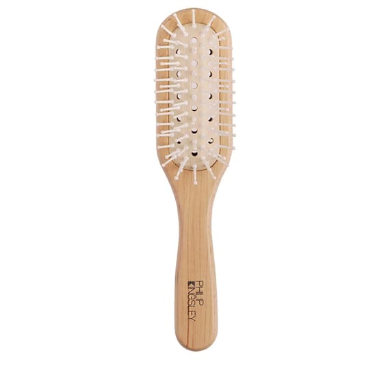 Vented Grooming Hairbrush