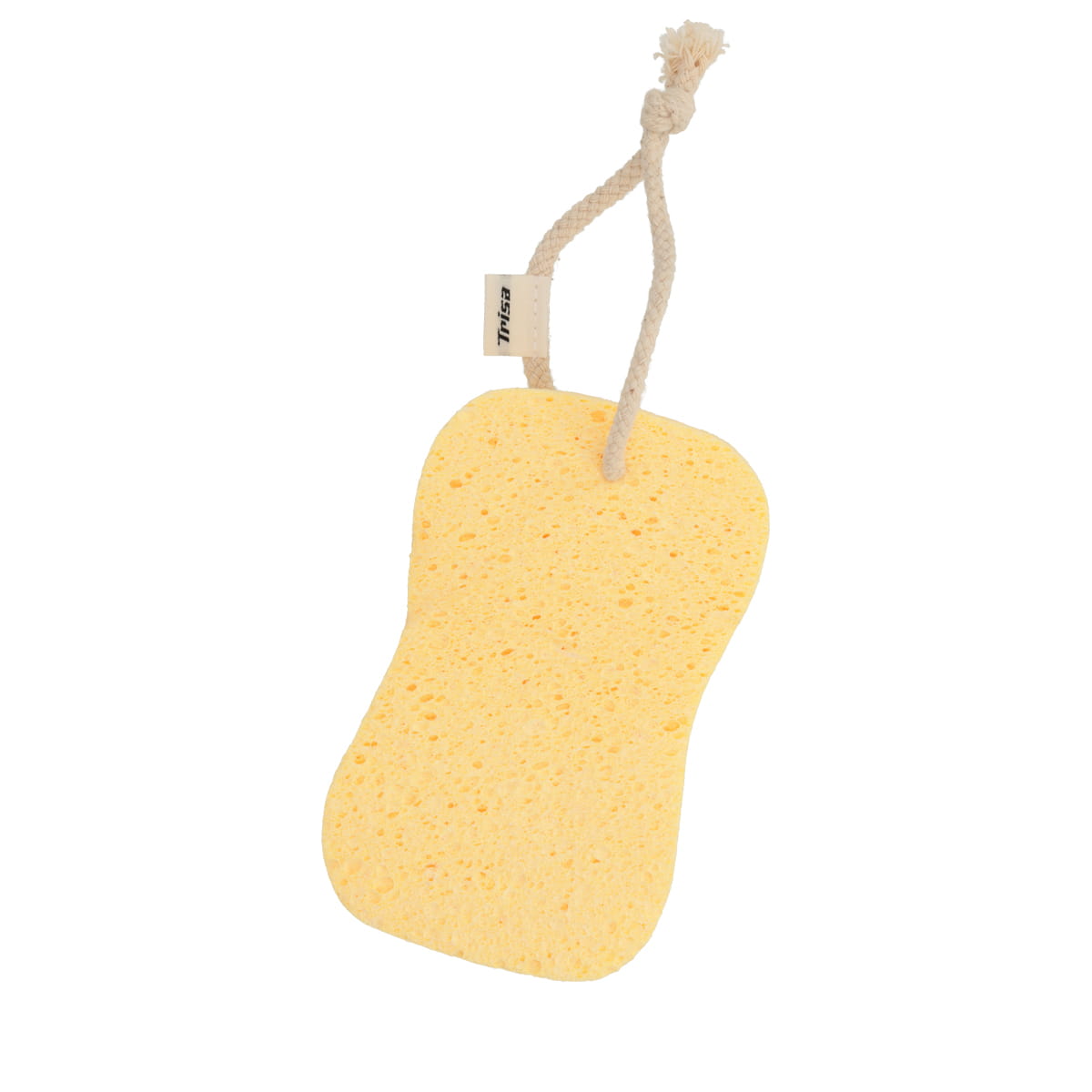 Cellulose Sponge