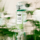 L'Eau Rêvée d'Alma