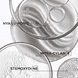 Densimorphose